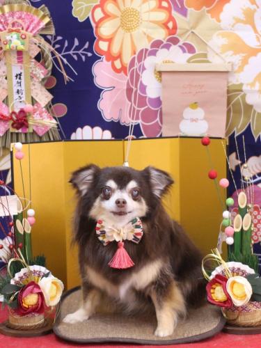 20240131ちゃこちゃん